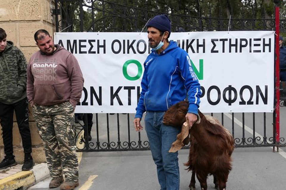 «Δείτε την κατσίκα, γιατί δεν θα την ξαναδείτε, κινδυνεύουμε να μείνουμε χωρίς ζώα»-Διαμαρτυρία έξω από το προεδρικό