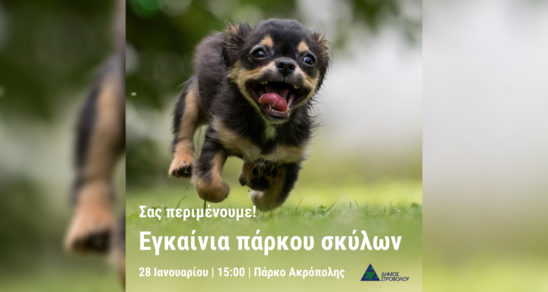 Εγκαίνια δεύτερου πάρκου σκύλων στον Δήμο Στροβόλου