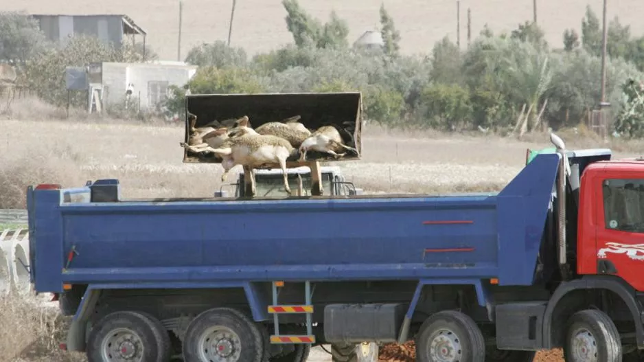 Περισσότερο ρεύμα από ζωικά απόβλητα – Διπλασιασμός ισχύς μονάδας