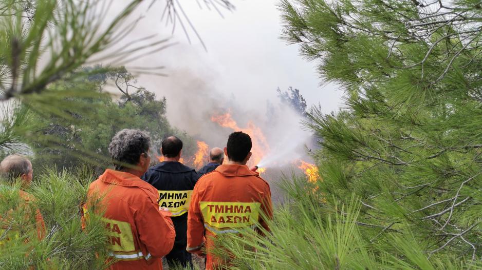 Τρεις υπάλληλοι του Τμήματος Δασών σε διαθεσιμότητα για υπόθεση προσφορών πτητικών μέσων