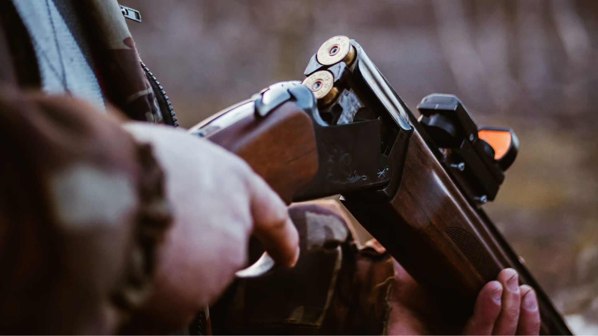 Καταγγέλλει προσπάθεια φίμωσης στελέχους της από Υπηρεσία Θήρας η Ισότητα