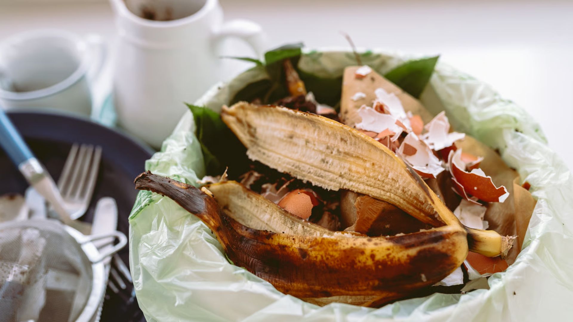 Στην Κύπρο καταγράφονται από τα υψηλότερα επίπεδα σπατάλης τροφίμων στην ΕΕ