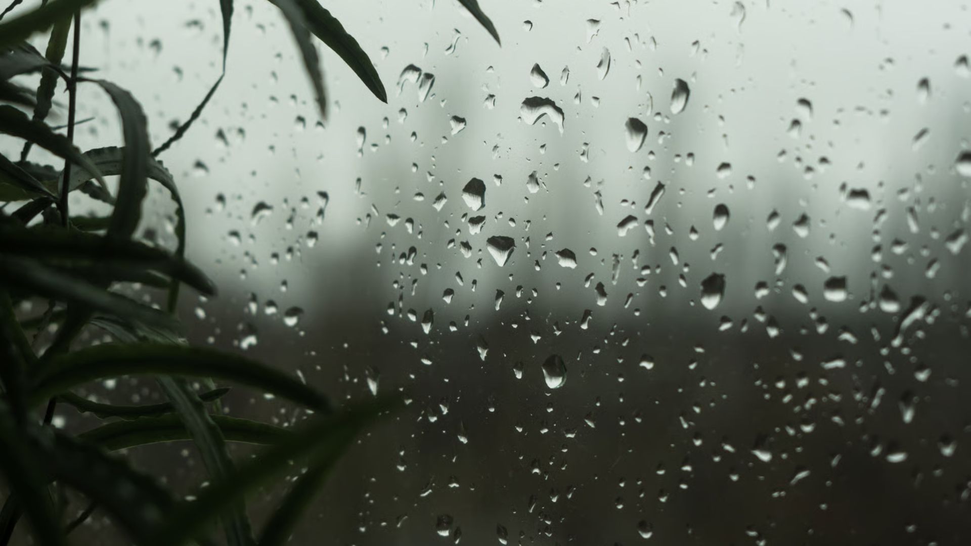 Αλλάζει το σκηνικό του καιρού: Πτώση θερμοκρασίας, τοπικές βροχές και πιθανό χιόνι στο Τρόοδος