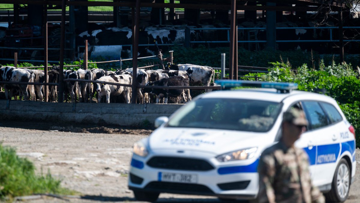 Εντοπίστηκαν νέα κρούσματα αφθώδους πυρετού σε Γέρι και Δάλι