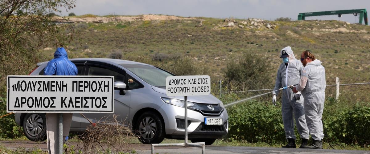 Κανένα νέο κρούσμα αφθώδους πυρετού-Συνεχίζονται οι θανατώσεις ζώων στις μολυσμένες μονάδες