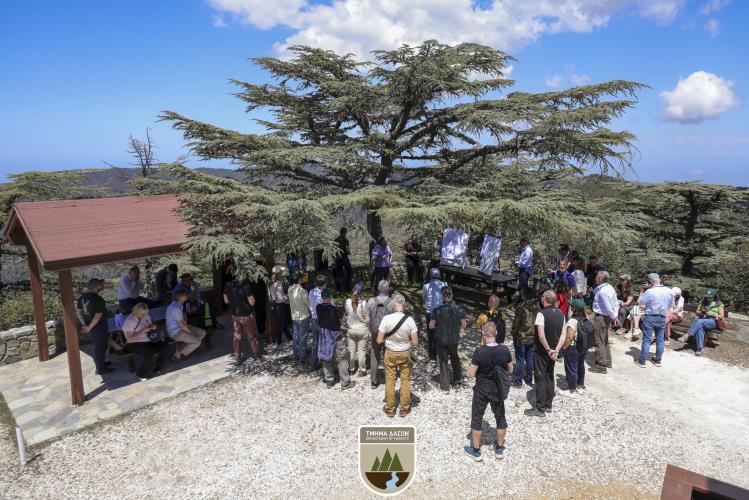 Οι σύγχρονες προκλήσεις για δασικά οικοσυστήματα Ευρώπης στο επίκεντρο συνάντησης Γενικών Διευθυντών Δασών της ΕΕ