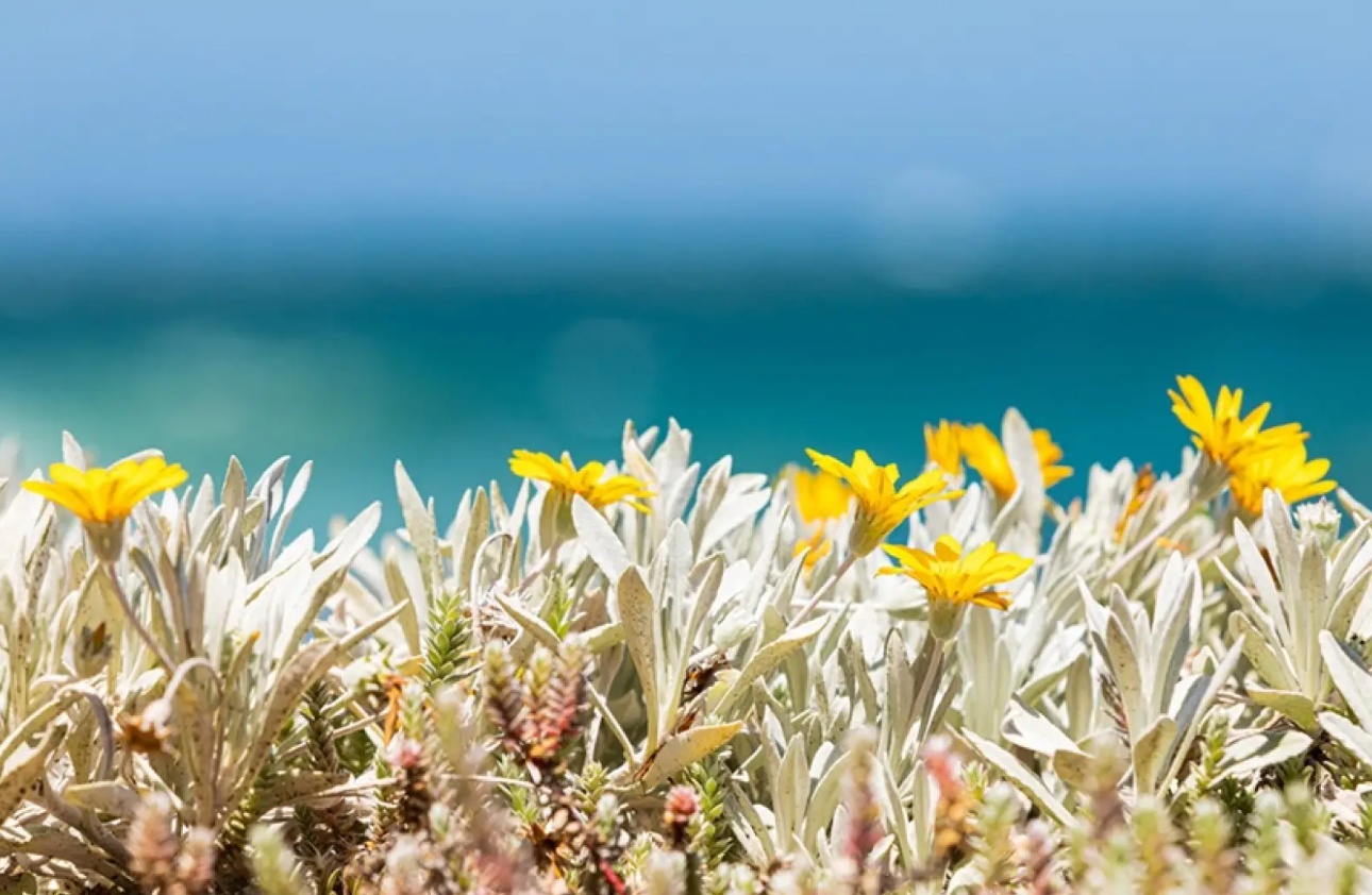 Δελτίο καιρού από το Τμήμα Μετεωρολογίας – Τρίτη 28 Απριλίου